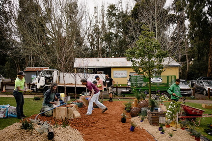 WA Tree Festival