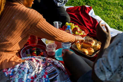 Mother’s Day Celebration Picnic