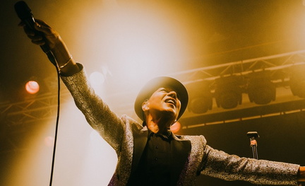 the selecter-7188832188