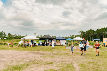 Sunflower &amp; Tomato Festival 2025