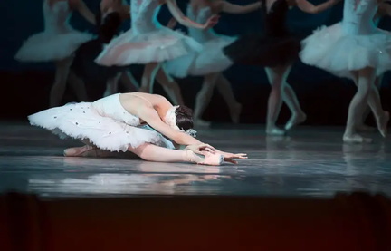 Swan Lake (1)