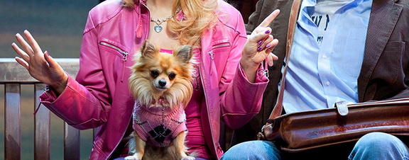 Legally Blonde (2)