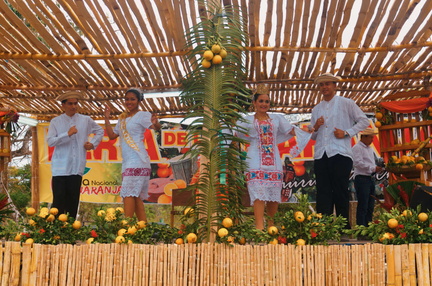 Feria Nacional de la Naranja