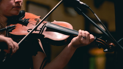 fiddle