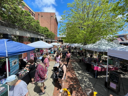 Downtown Troy Riverfest