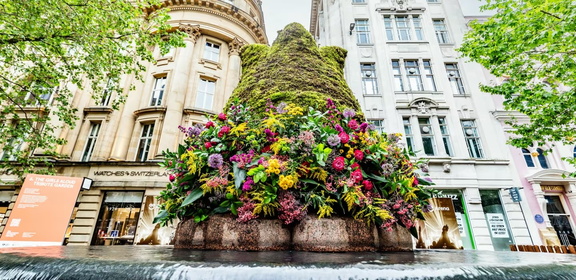 The Manchester Flower Festival