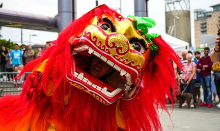 Dragon Boat Festival  MediaCity