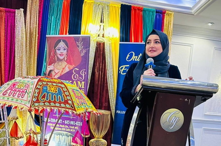 Brampton Summer Mela &amp; Market