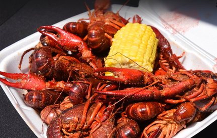 Bayou Bon Vivant Cajun Music, Food &amp; Art Festival1