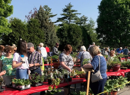 2025 Master Gardener Plant Sales