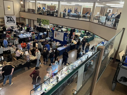 Show me reptile show