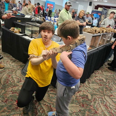 Show me reptile show