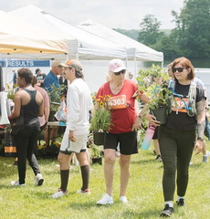 Pollinator Festival &amp; 5K