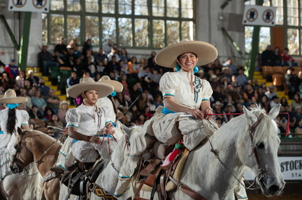 Mexico in our Blood