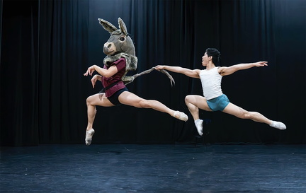 Ballet Victoria2