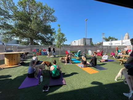 Bloom &amp; Breath DOGA Session with Vanessa Wurts