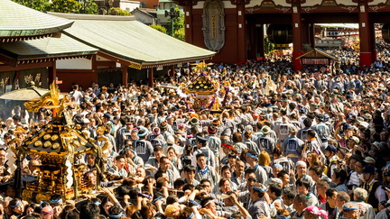 Tokyo Sanja Matsuri
