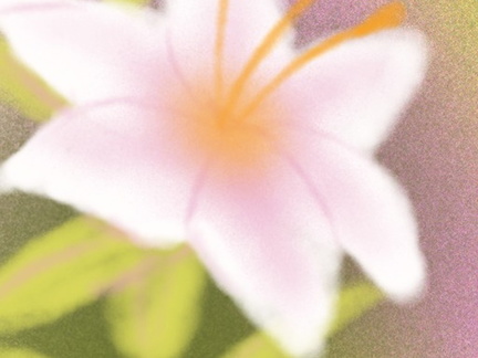 Screenshot 15.v1
