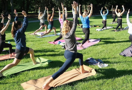 James Island Wellness Festival