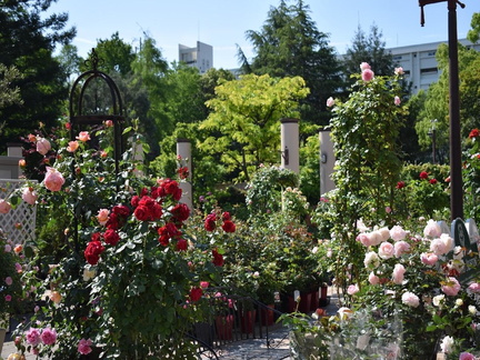 Hisaya Odori Garden Floralie Rose Festival