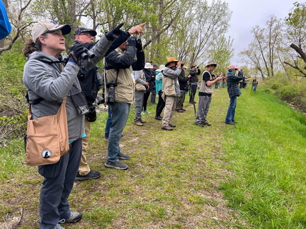 The Biggest Week In American Birding