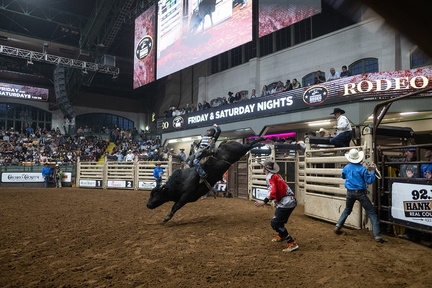 PBR: Unleash the Beast
