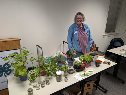 Annual Plant Fest And Sale