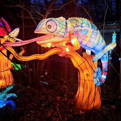 Glow Wild Chinese Lantern Festival Erie Zoo