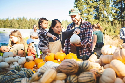 Harvest-Celebration WB 2023-59-of-155-scaled