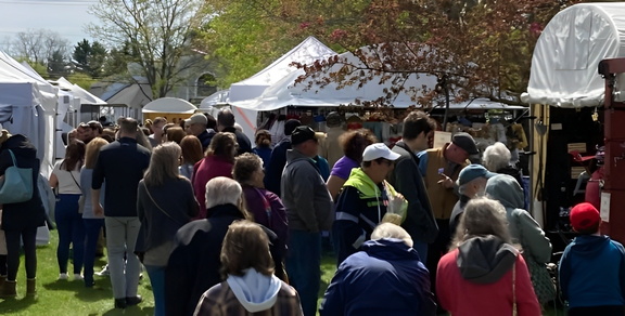 Hampton-Crowd-pic (1)