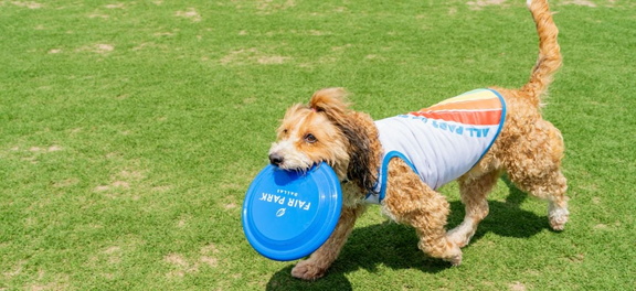 05-19-Dog-Bowl-809-f1fb8d52d6