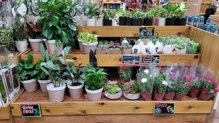 May Plant Sale And Swap