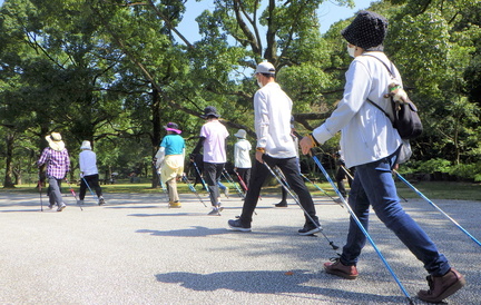 Nordic Walking Course