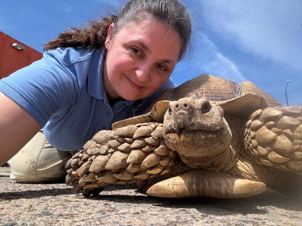 World Turtle Day