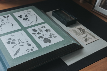 Collagraph Printmaking Workshop