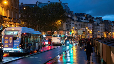 City of Light Bus Tour
