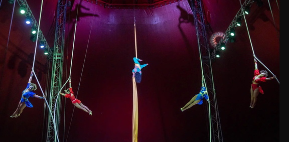 Royal Canadian International Circus