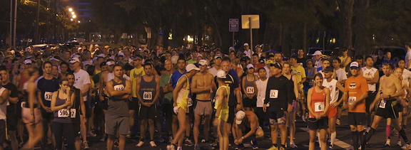 Annual Hibiscus Half Marathon, 15K &amp; 5 Miler