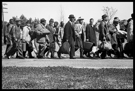 Selma-Now-11-copy