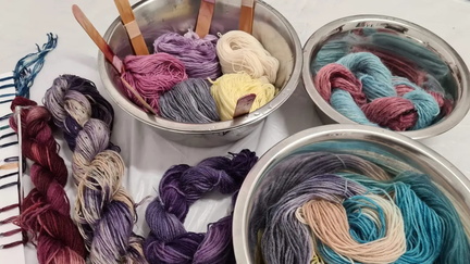 Petals &amp; Pigments An Intro to Natural Dyeing