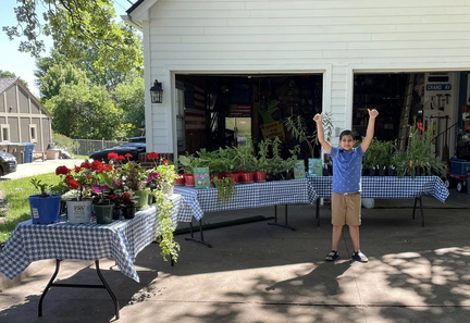 Annual Teddy Plant Sale