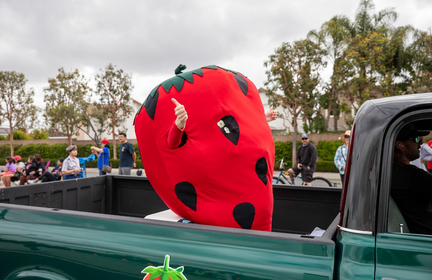 65th Annual Strawberry Festival
