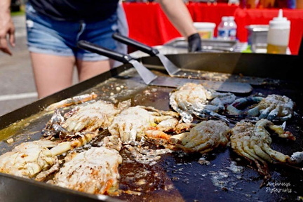 Soft Shell Crab Festival