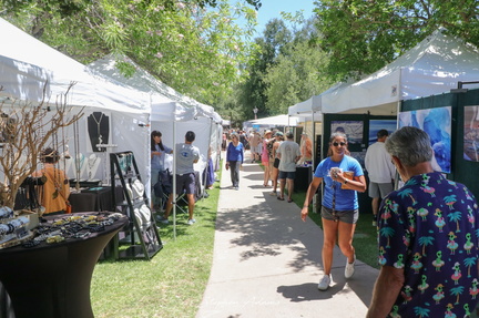 48th Annual Art in the Park
