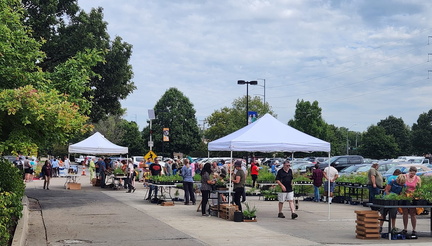 Native Plant Sale
