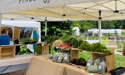 Ozark Farmers Market