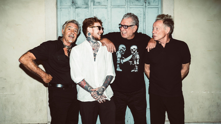 The Chameleons