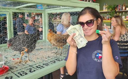 Chicken Shiz Bingo