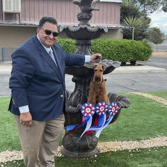 Jack Bradshaw Dog Shows