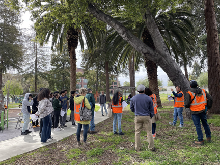 July Fuller Park Tree Walk